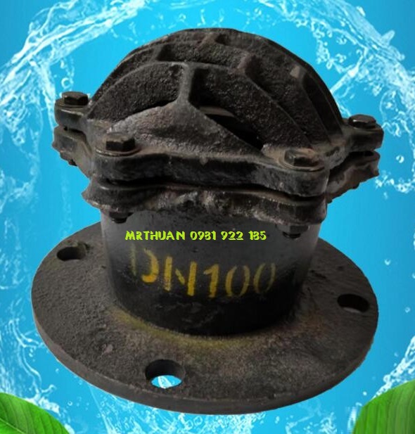 rọ bơm nước mặt bích gang