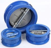 Van một chiều cánh bướm