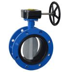 Van bướm mặt bích