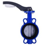 Van bướm Hàn Quốc