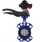 Van bướm giám sát