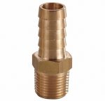 Đuôi chuột đồng