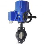 Van bướm điều khiển điện có tay quay