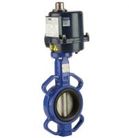 Van bướm điều khiển điện Đài Loan